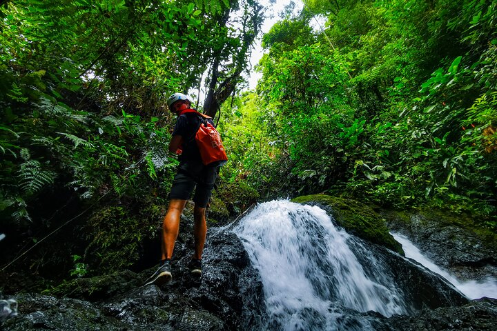 Jungle Hike with Canyoning and Rappelling in Drake Bay - Photo 1 of 20